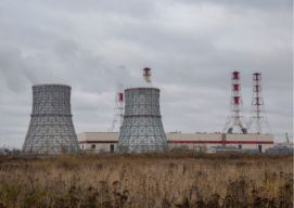 mill-shell